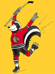 Blackhawks Stink