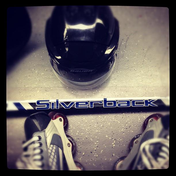 Silverback